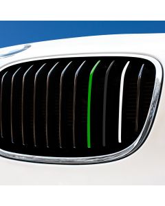 Nierenaufkleber - REFLEKTIEREND - Grün/Schwarz/Weiß